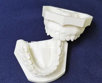 Модель препарирования зубов из белого корунда, практика на осмотре у стоматолога, препарирование полости рта, шлифовка зубов, фарфоровая модель